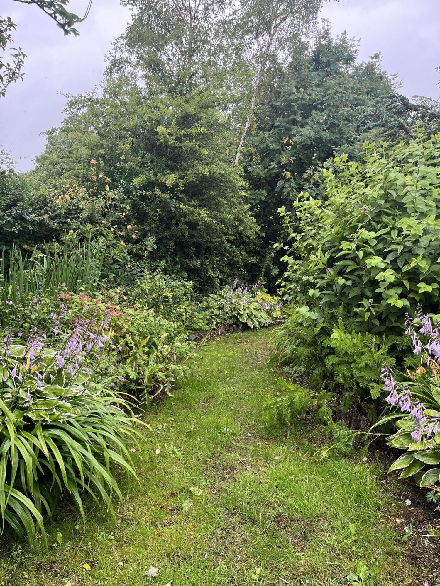 Apple Cottage Newton Stewart Zewnętrze zdjęcie